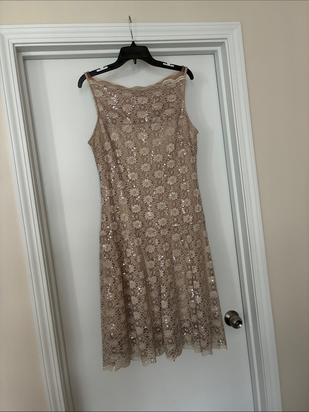 Beige Sequin Lace Fit & Flare Dress